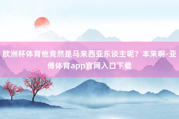 欧洲杯体育他竟然是马来西亚东谈主呢？本来啊-亚傅体育app官