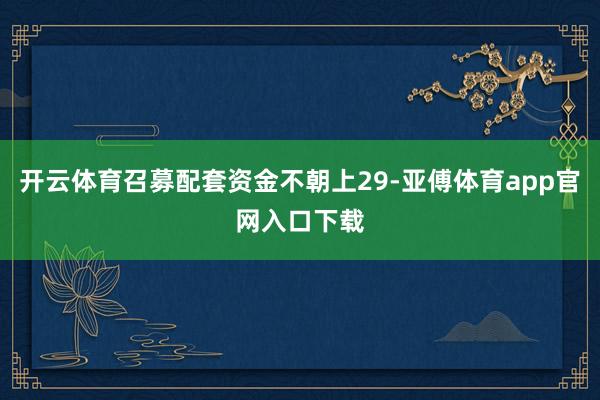 开云体育召募配套资金不朝上29-亚傅体育app官网入口下载